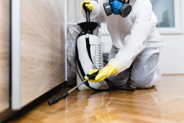 Best Best Pest Control Companies  in Shelton, CT