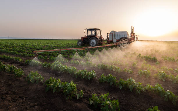 Best Commercial Pest Control Services  in Shelton, CT