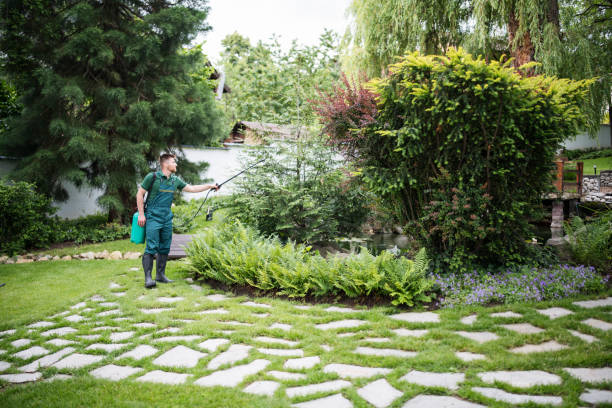 Best Residential Pest Control  in Shelton, CT
