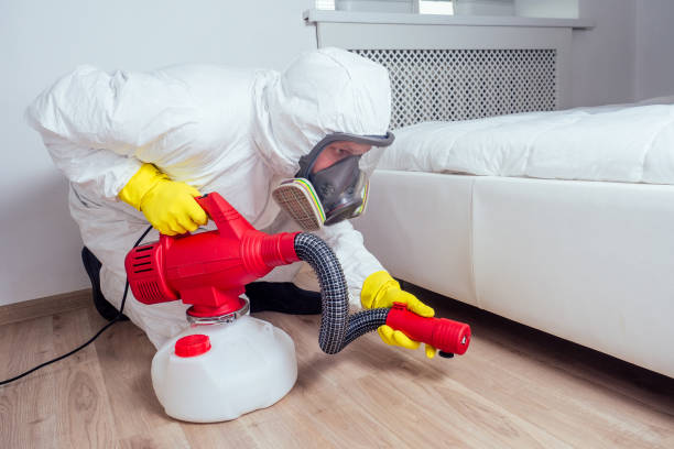 Best Local Pest Control Services  in Shelton, CT