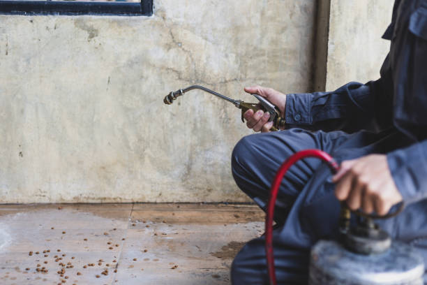 Best Mosquito Control Services  in Shelton, CT